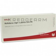 Геллеборус Нігер ● Helleborus Niger