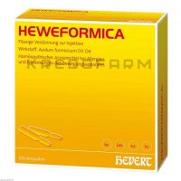 Гевеформика ● Heweformica