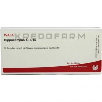 Гиппокампус ● Hippocampus