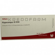 Гіппокампус ● Hippocampus