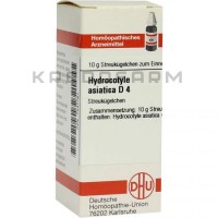 Гидрокотил ● Hydrocotyle