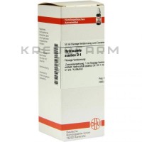 Гидрокотил ● Hydrocotyle