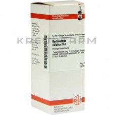 Гідрокотил ● Hydrocotyle