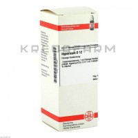 Гіперикум ● Hypericum