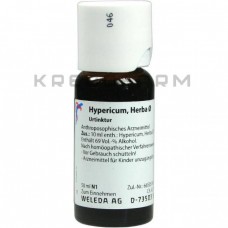 Гіперикум Херба ● Hypericum Herba