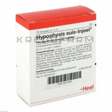 Гипофизис Суис ● Hypophysis Suis