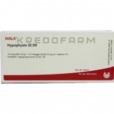 Гіпофіз ● Hypophysis