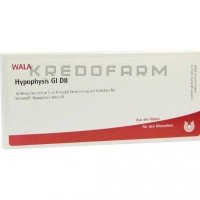 Гіпофіз ● Hypophysis