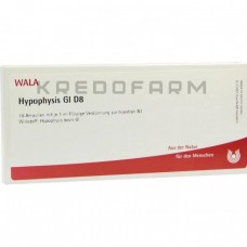 Гіпофіз ● Hypophysis