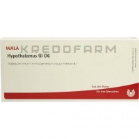 Гипоталамус ● Hypothalamus