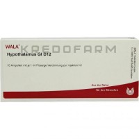 Гипоталамус ● Hypothalamus