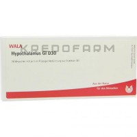 Гипоталамус ● Hypothalamus