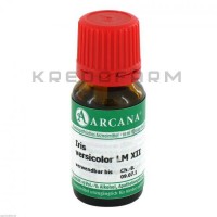 Ірис Версіколор ● Iris Versicolor