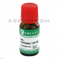 Ірис Версіколор ● Iris Versicolor