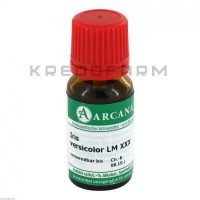 Ірис Версіколор ● Iris Versicolor