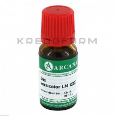 Ірис Версіколор ● Iris Versicolor