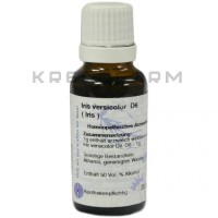 Ірис Версіколор ● Iris Versicolor