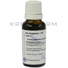 Ірис Версіколор ● Iris Versicolor