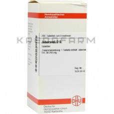 Яборанді ● Jaborandi