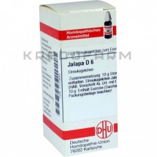 Ялапа ● Jalapa