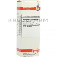 Юниперус Коммунис ● Juniperus Communis