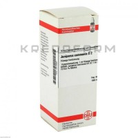 Юниперус Коммунис ● Juniperus Communis