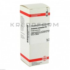 Юніперус Комуніс ● Juniperus Communis