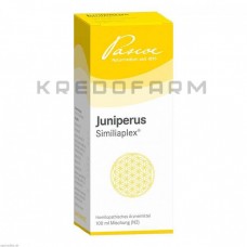 Юниперус Симилиаплекс ● Juniperus Similiaplex