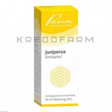 Юніперус Сіміліаплекс ● Juniperus Similiaplex