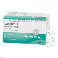 Лахезис Композитум ● Lachesis Compositum