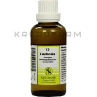 Лахезис Комплекс ● Lachesis Komplex