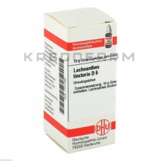 Лахнантес ● Lachnanthes