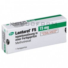 Лантарел ● Lantarel