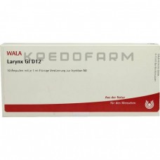 Ларинкс ● Larynx