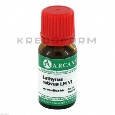 Латирус Сативус ● Lathyrus Sativus