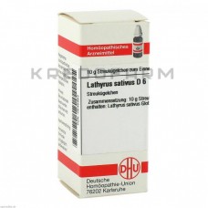 Латирус Сатівус ● Lathyrus Sativus