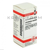 Латродектус ● Latrodectus