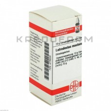 Латродектус ● Latrodectus