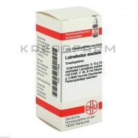 Латродектус ● Latrodectus