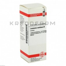 Леонурус Кардіака ● Leonurus Cardiaca