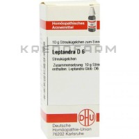 Лептандра ● Leptandra