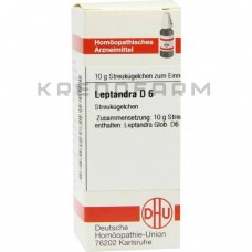 Лептандра ● Leptandra