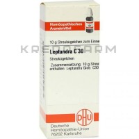 Лептандра ● Leptandra