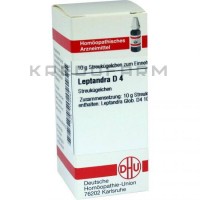 Лептандра ● Leptandra