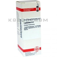 Лептандра ● Leptandra