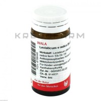 Левистикум ● Levisticum