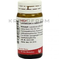 Левистикум ● Levisticum