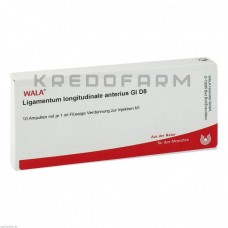 Лігаментум Лонгітудинале ● Ligamentum Longitudinale