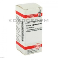 Лилиум Тигринум ● Lilium Tigrinum