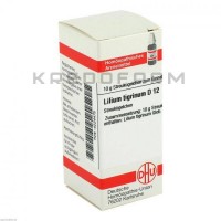 Лилиум Тигринум ● Lilium Tigrinum